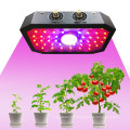 Les interrupteurs doubles à spectre complet COB K1000 ont mené des lumières de croissance 1000W interrupteur de légumes/fleurs Led élèvent la lumière hydroponique pour serre